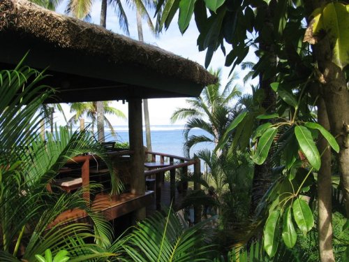 vanillaa-sunshine: ❁❁ Calm and relaxing jungle blog ❁❁