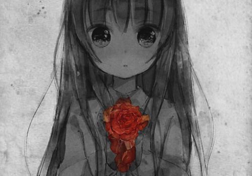kurohwaiteu:  Rose [pixiv] 