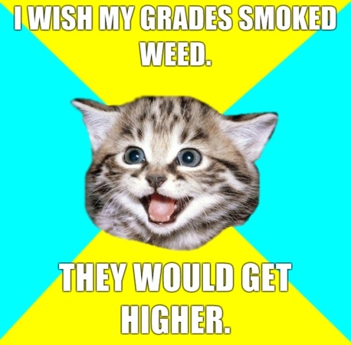 roll one; smoke one