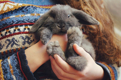 y-o-u-are-beautiful:  JUSTIN BIEBERS BLOG