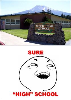 welovetheherb:  Weed High School 