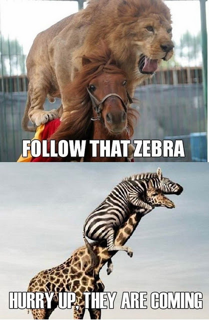 LMAO!