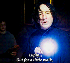 Harry Potter Eterno