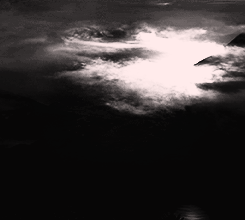 Harry Potter Eterno