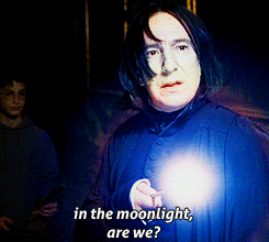 Harry Potter Eterno