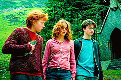 romions:  The signature colors that costume designer Jany Temime chose for Ron, Hermione,