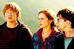 romions:  The signature colors that costume designer Jany Temime chose for Ron, Hermione,