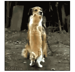 Explain your OTP in one gif