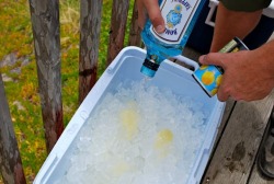 mj812:  alabamasouthernbelle: Combine 3 gallons of gin,7 cans of lemonade concentrate, 6 bunches of fresh mint in a large clean ice chest with a 20 lb bag of ice. Stir, stir, stir, taste, taste, taste. Make night before so that some of the ice melts