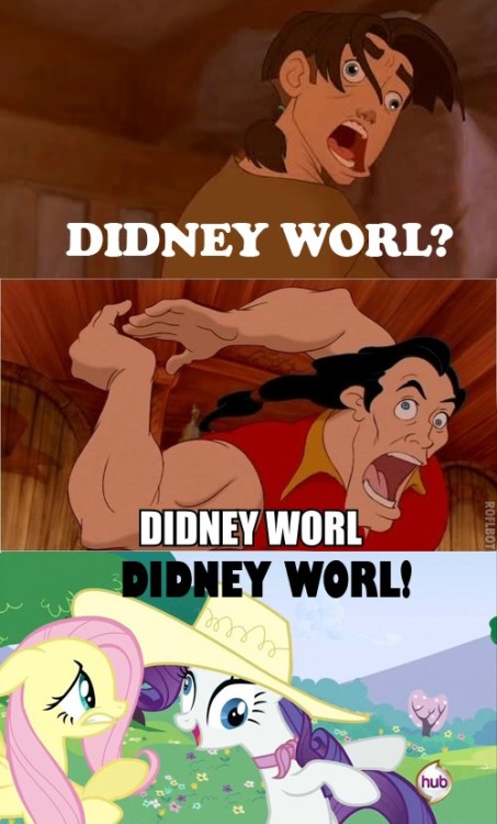 pinkiedash:  thesillybrownkid:  ask-konoku:  will-travel-pony:  WHO WANTS TO GO TO DIDNEY WURL  I WANNA GO TWO DIDNEY WORL!!!!!!!!1  OH BOY DIDNEY WORL!  OH GOD THERE’S ANOTHER