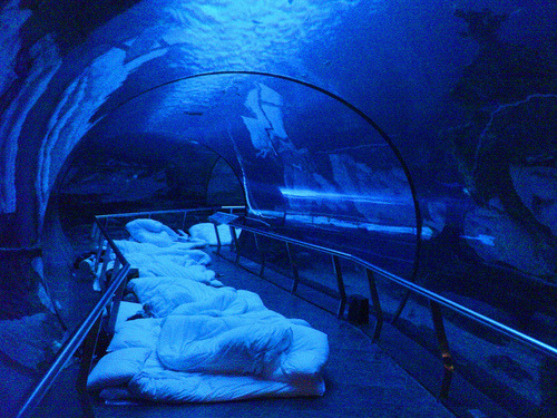 michelleeele:  selenaishiding:  Sleepover @ the aquarium (: Definitely adding this