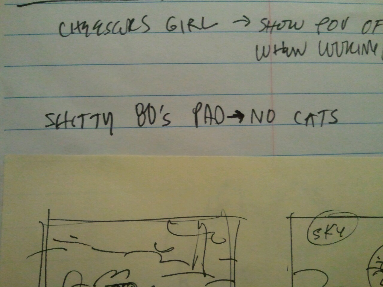 I am never allowed to put cats in the shitty 80&rsquo;s pad.  :(