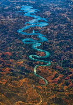 m0iety:  The Blue Dragon  by Steve Richards