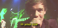  Liam sings to a fan’s camera + 
