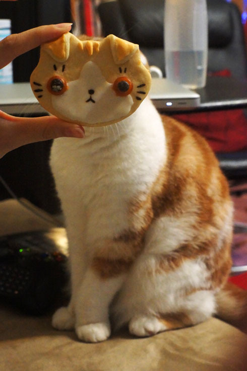 kittyssafe.tumblr.com/post/22369744225/
