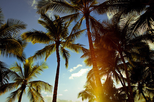 Shinyweather