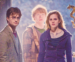 oweasley:  Harry Potter Alphabet ৸ (f) - friendship ( the golden trio ) 