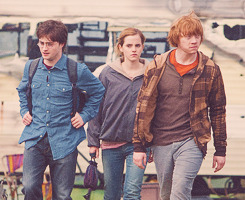 oweasley:  Harry Potter Alphabet ৸ (f) - friendship ( the golden trio ) 