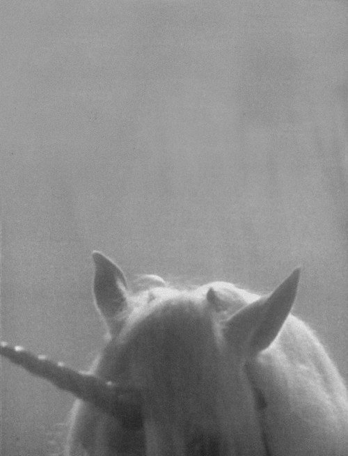 naoooky.tumblr.com/post/24490194572/