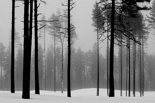 hopelesslylostwanderer.tumblr.com/post/22327807652/