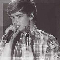 dailyonedirectionspam:  louis hair omfg