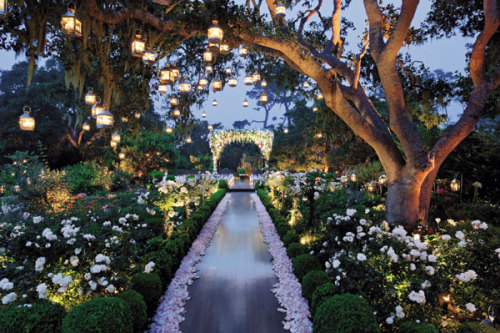 A Beautiful Outdoor Wedding Setting: Hanging lanterns, low lighting for the bushes, and uplighting f