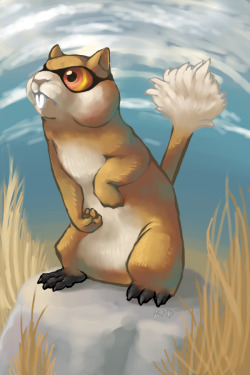 james-caulsfields:  Patrat the Scout Pokemon Patrat is a small rodent like Pokemon. A Patrat can be easily identified by its bright multi-colored eyes, which are red and yellow with small black pupils. A black strand of fur travels around the head of