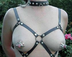 chattelprod:  If you make your sub get all kinds of pretty piercings, why wouldn’t they feel inclined to show them off? 