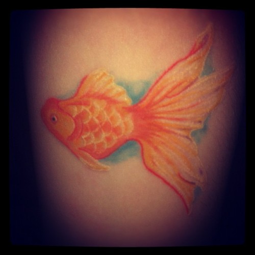 XXX fuckyeahtattoos:  My first pet was a goldfish photo