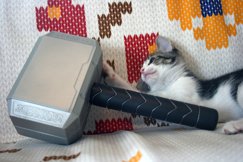 tocite:  the playtime lovingly known as meowlnir 