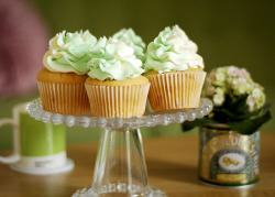 gastrogirl:  wasabi and white chocolate cupcakes.