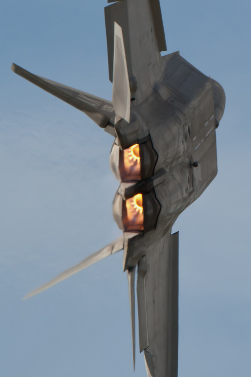 exclusive-pleasure:  F-22 Raptor 