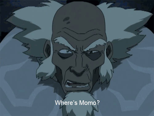 awildpokemon:  WHERES MOMO?
