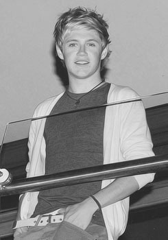 stylinsonranpaynlik:  JESUS NIALL YOUR NEW TWITTER ICON IS SO PERFECTION ASNFDKLS