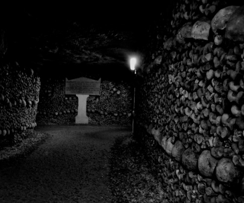 vi0letnocturne:  Catacombs 