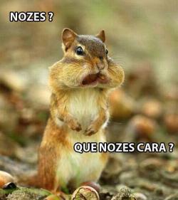 Revelacoesdeumameninasonhadora