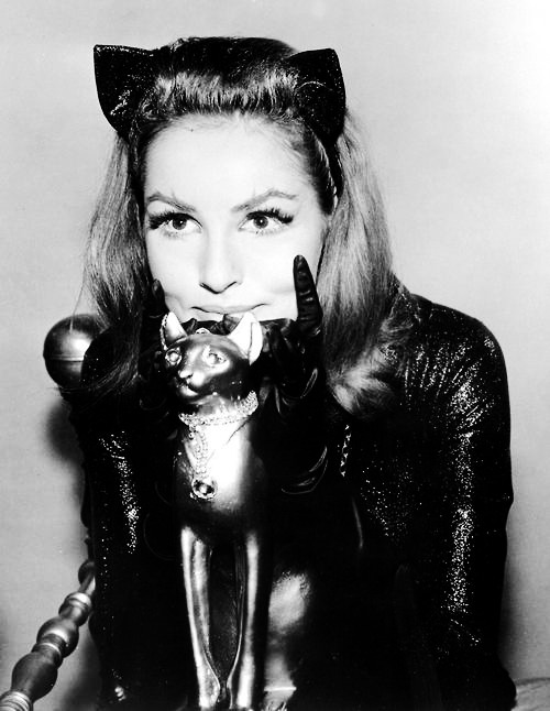 Porn photo Julie Newmar as Catwoman (1960’s)