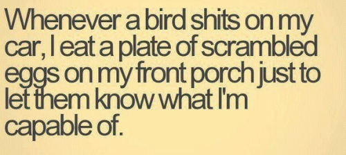 going to start doing this
