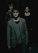  Harry Potter and the Deathly Hallows part adult photos