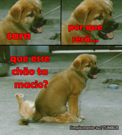 seliganapreguica:  kkkkkkkkkkkkk
