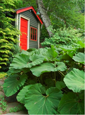 A rural garden in upstate New York in the U.S. Designed and developed by Margaret Roach, blogger (A Way to Garden) and author (And I Shall Find Some Peace There). You can visit the garden on the Garden Conservancy Open Days on June 2. That beauty on...