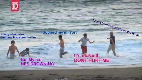 onedirectioninfectionlovers:  LOL! Awwh! This is funny. ♥ 