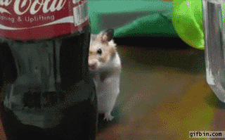 Véi, na boa... Além de ficar acordado na sua aula, ainda quer que eu abra o material?