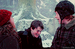 Weasley is our king!