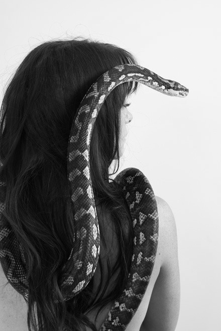 lily-xo