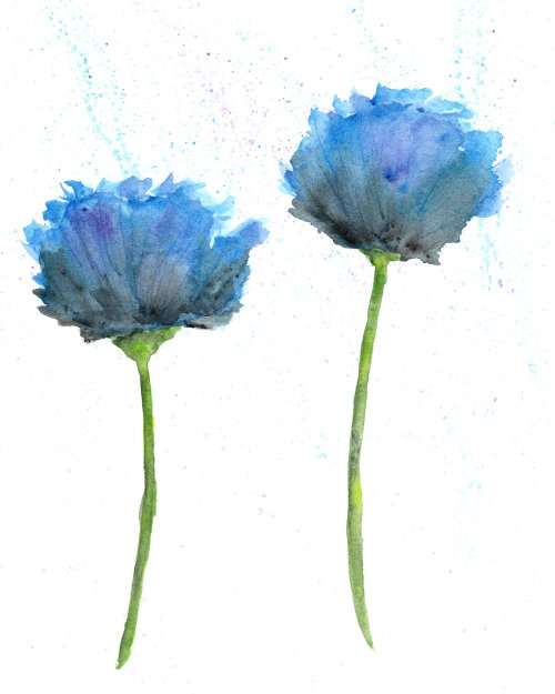 thimblesparrow:  Roses are red, poppies are blue By Thimble Sparrow 