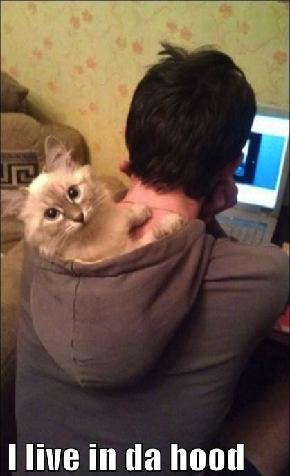 the-absolute-funniest-posts:  Follow this blog, you will love it on your dashboard