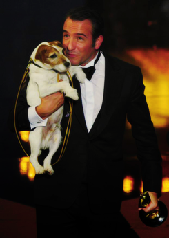 Jean Dujardin & Ian Somerhalder with Uggie! [do I have to mention how lucky is this dog?]