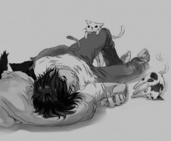 kurohwaiteu:  Cat [zerochan] 