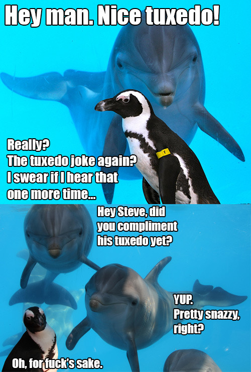 heyfunniest:  Life sometimes sucks, You need a break, Click here & Laugh!